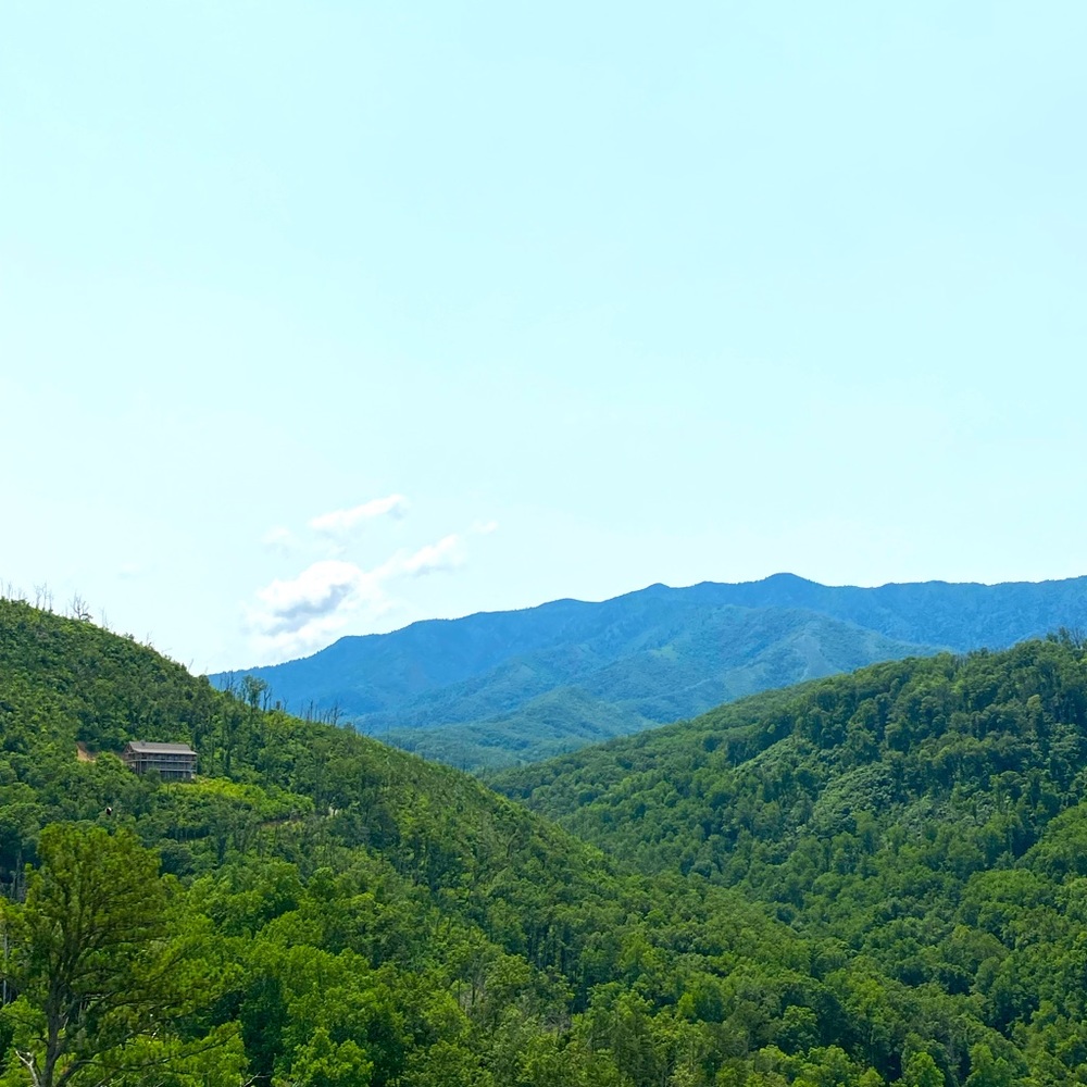 Meet your Posher, Misty